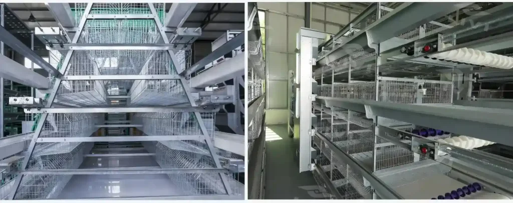 a type vs h type layer cage