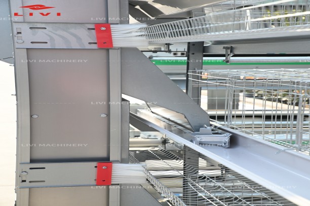 automatic feeding system
