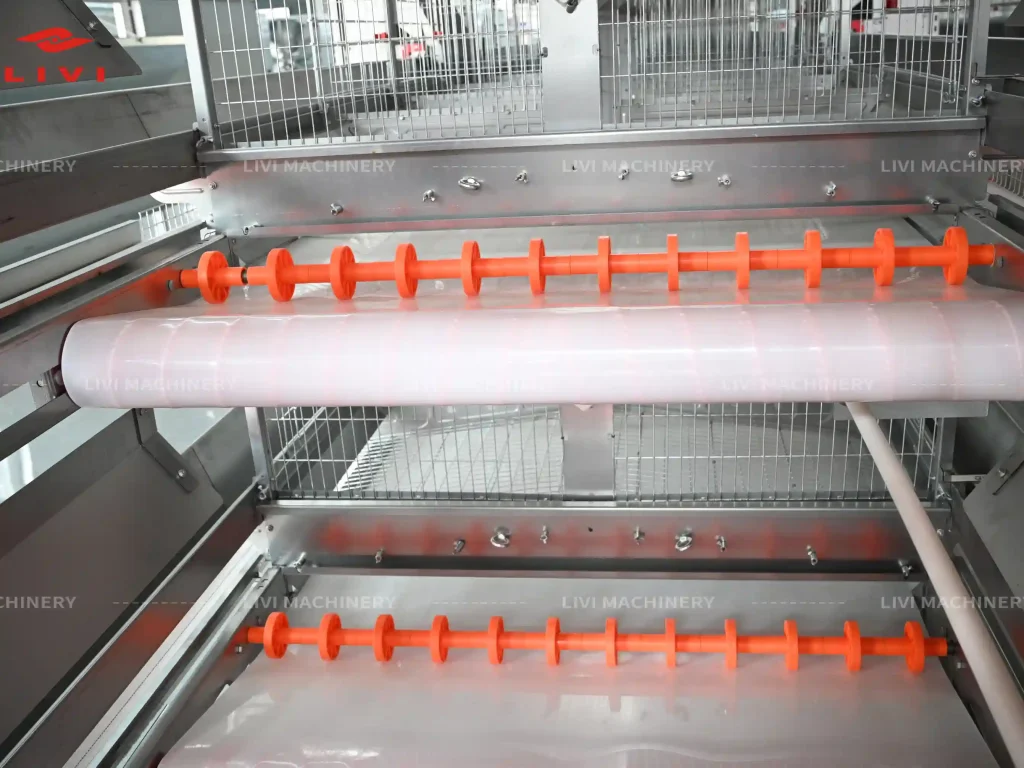 belt manure remove system