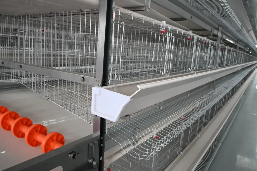 cage system