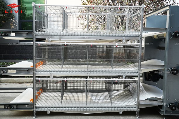 Manure Removal System