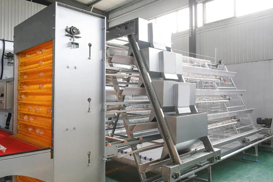 a type layer chicken cage system