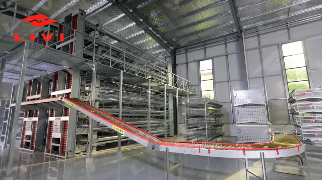 automatic egg collection system