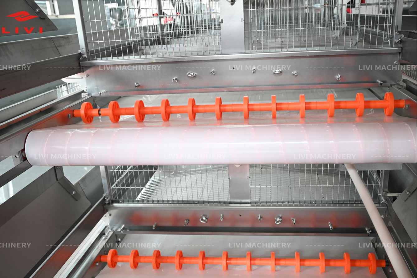 belt manure remove systems