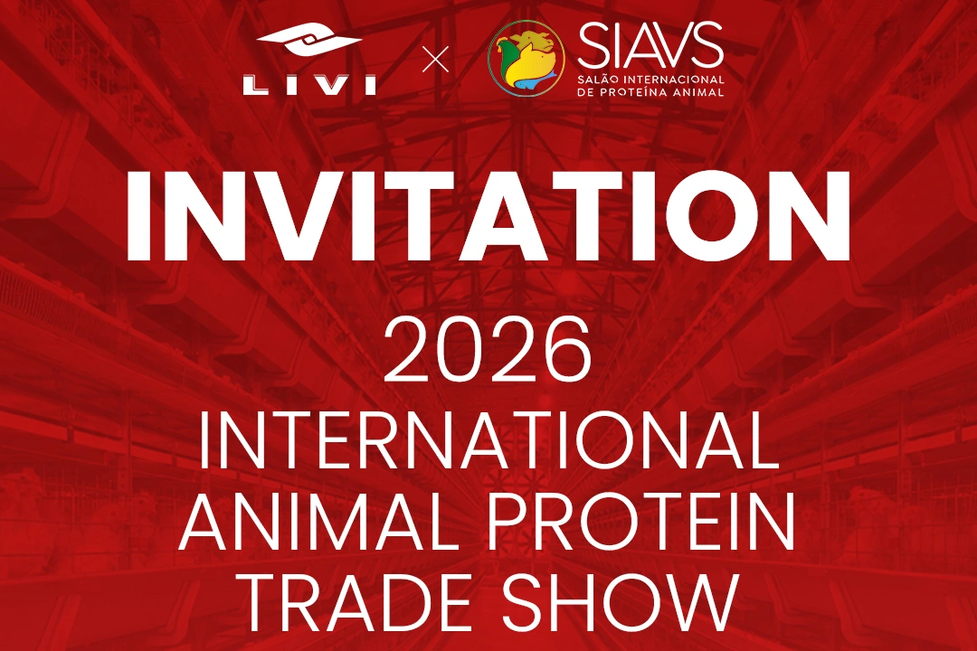 brazilian exhibition invitation letter from livi
