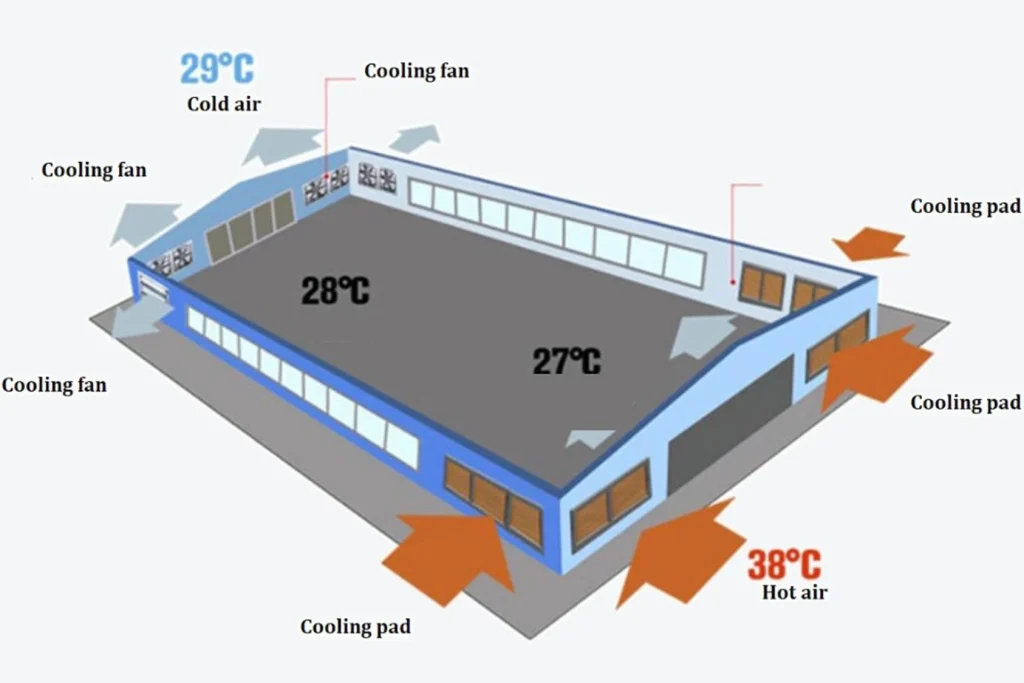 chicken coop ventilation layout