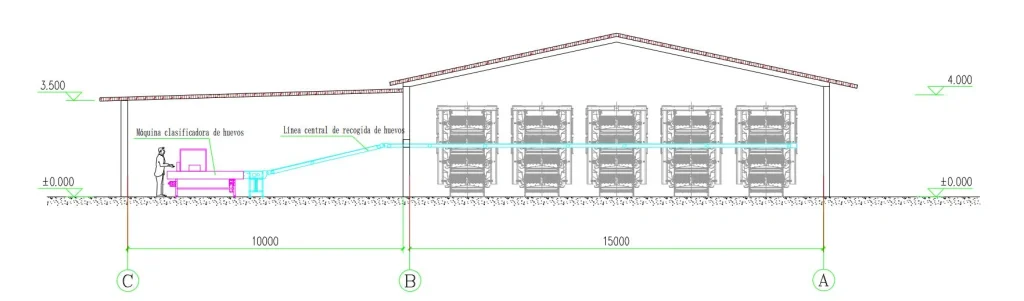 egg storage design