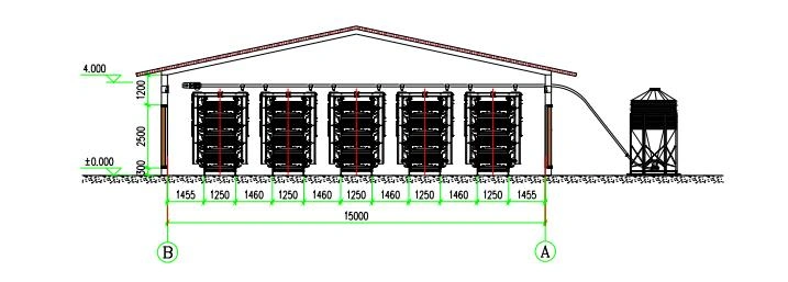 layout of a single chicken coop