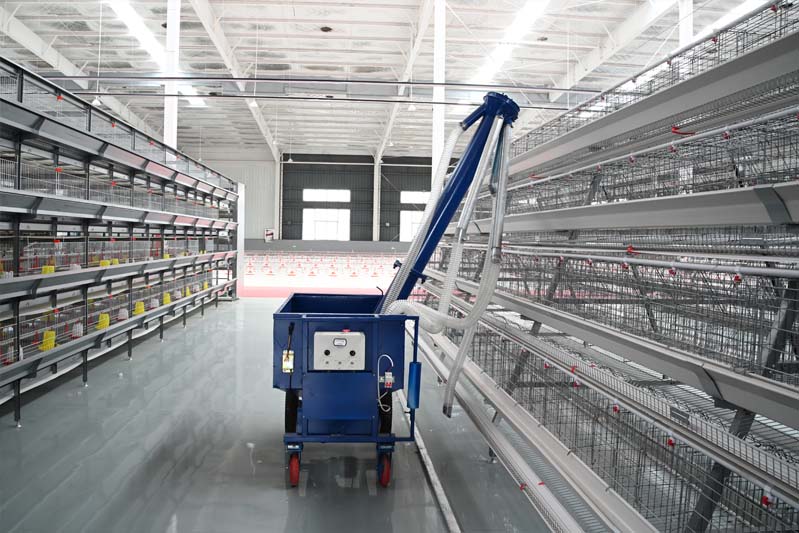 a-type-chick-brooding-cage-for-commercial-poultry-farms