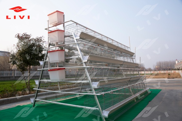 a type layer cage