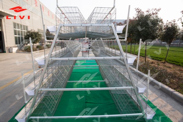 a type layer cage system