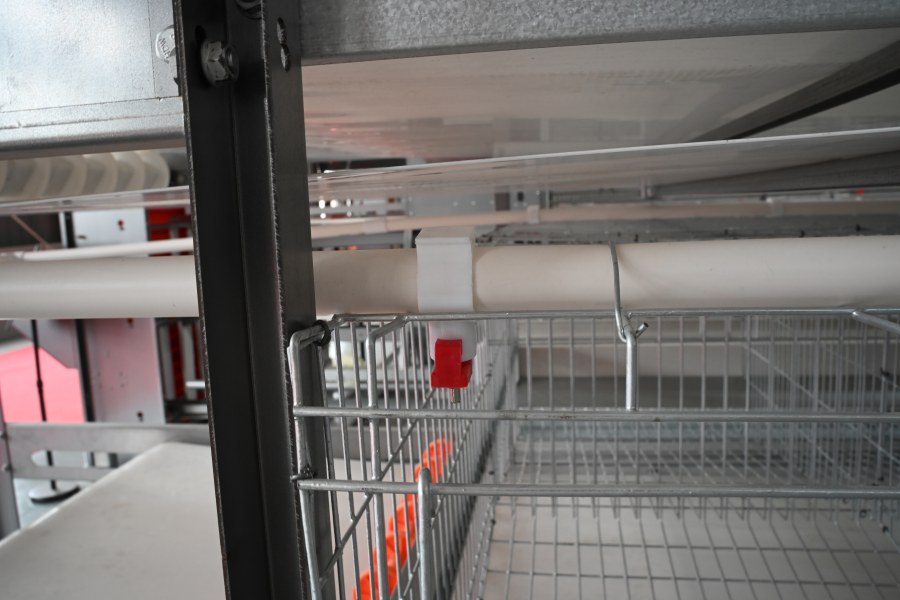automatic drinking system