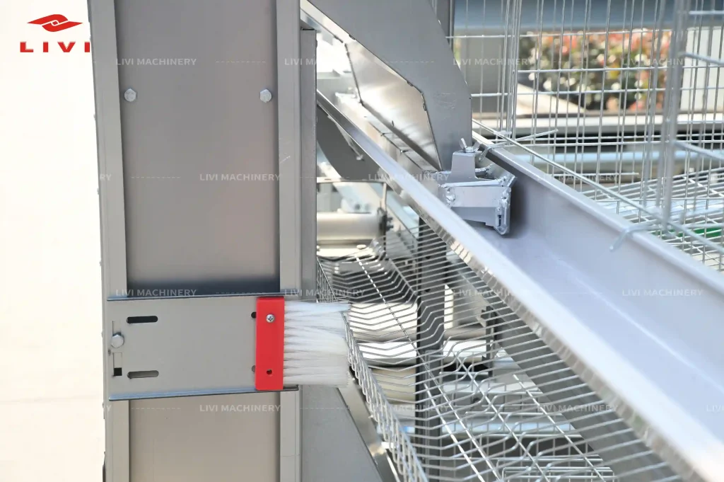 automatic feeding system of h type layer cage