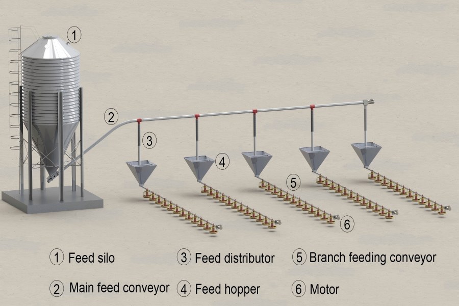 automatic feeding system