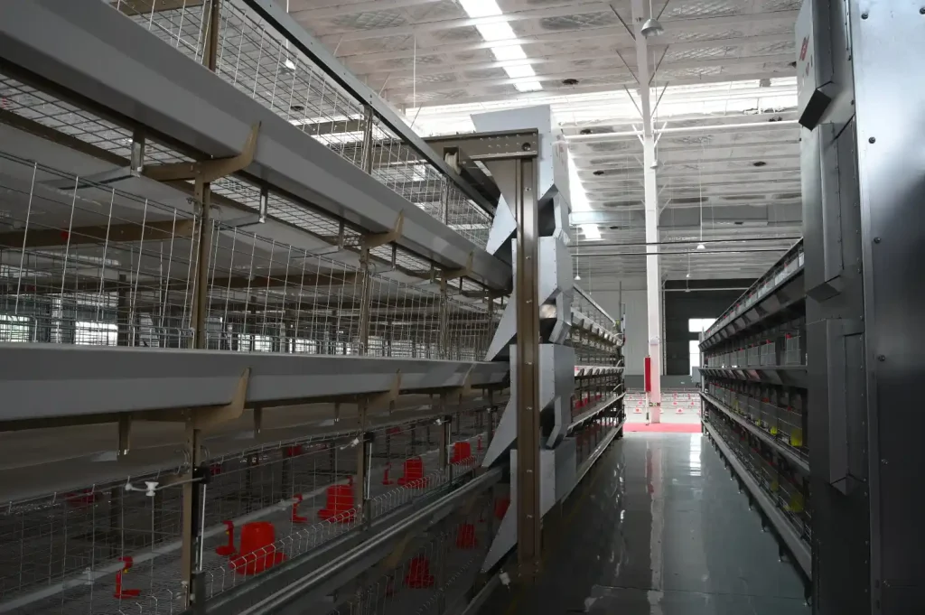 automatic feeding system