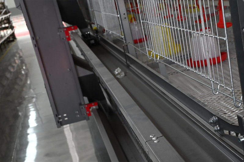 automatic-feeding-system-for-commercial-chick-brooding-cages