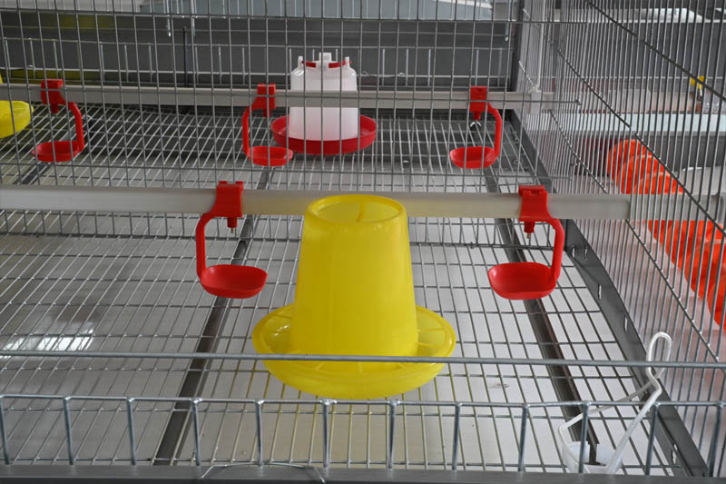 automatic-feeding-system-for-commercial-chick-brooding-cages