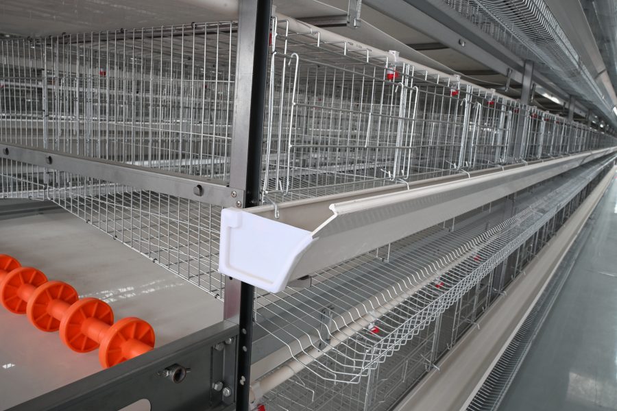 automatic feeding system