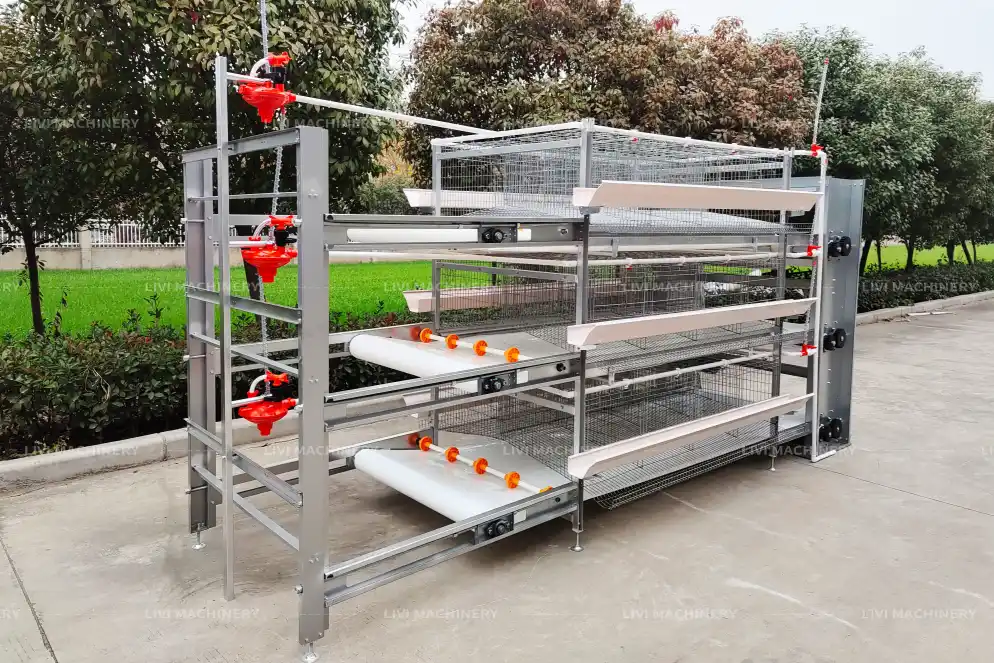automatic h type layer cage system