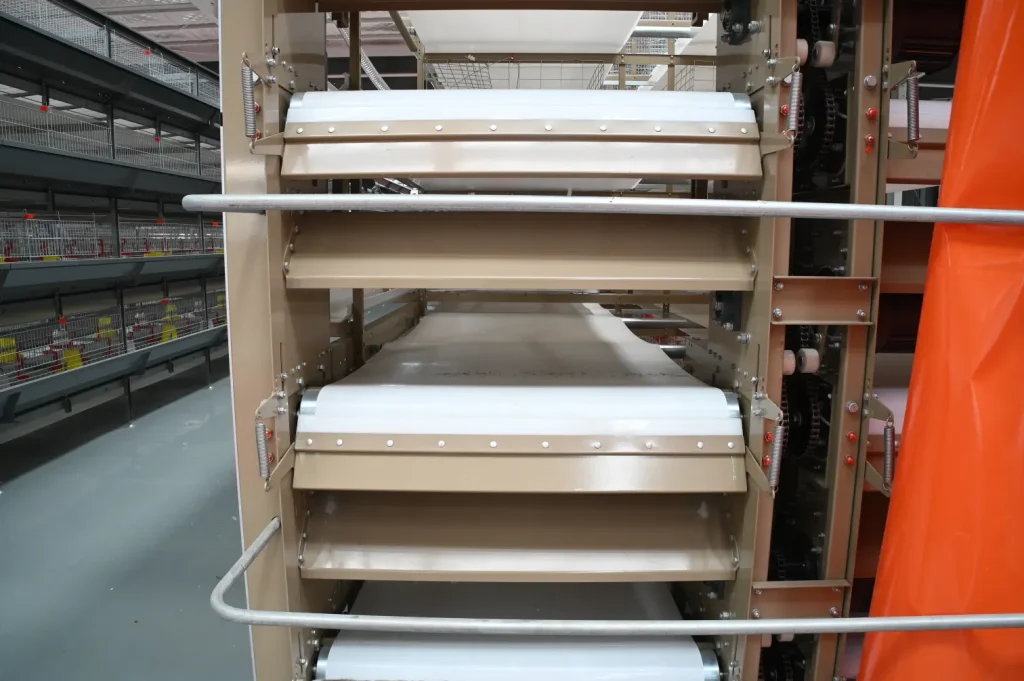 automatic manure removal system for commercial broiler cage