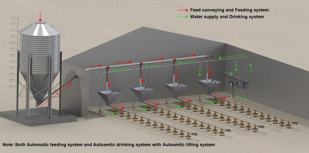 both automatic feeding system and autoamtic drinking system with autoamtic lifting system