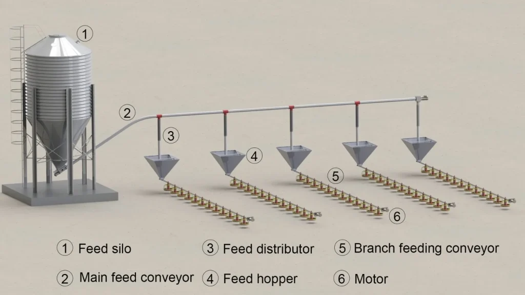 broiler floor rearing automatic feeding system layout