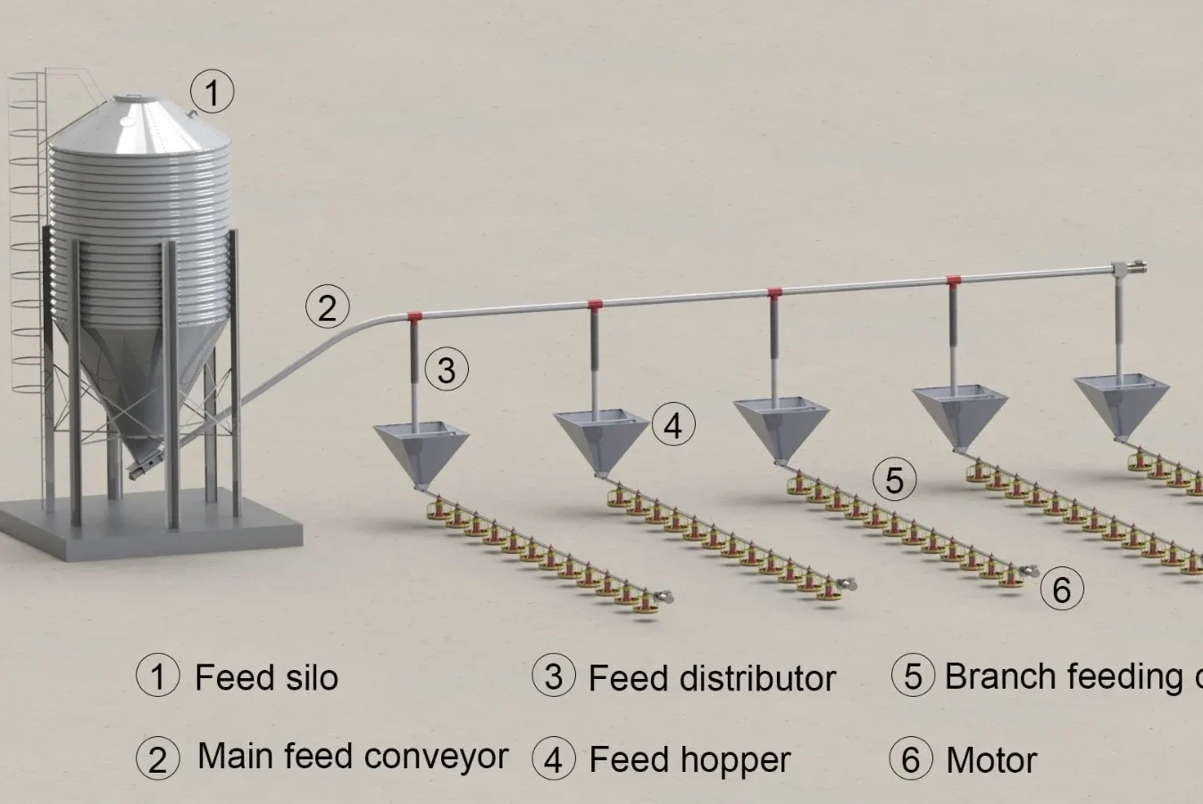 broiler floor rearing automatic feeding system layout