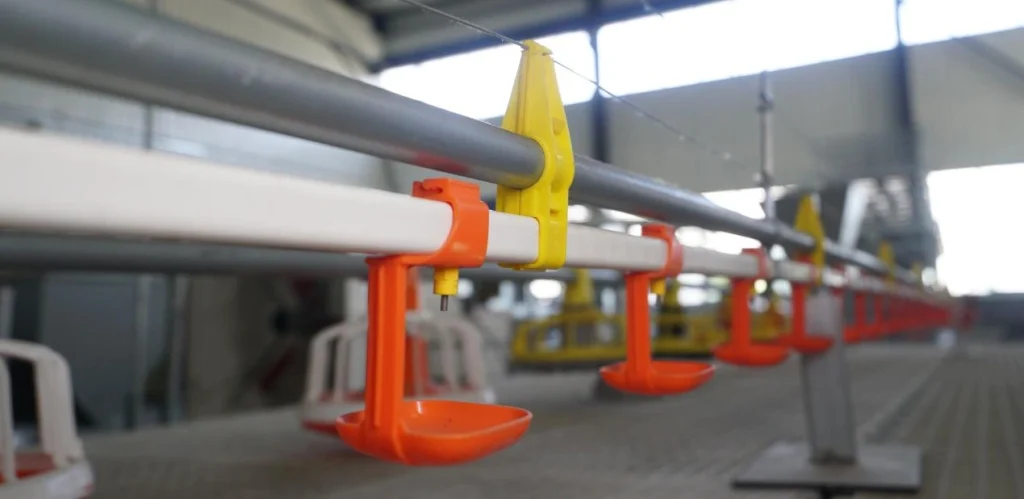 broiler pan feeding system for floor-reared chickens