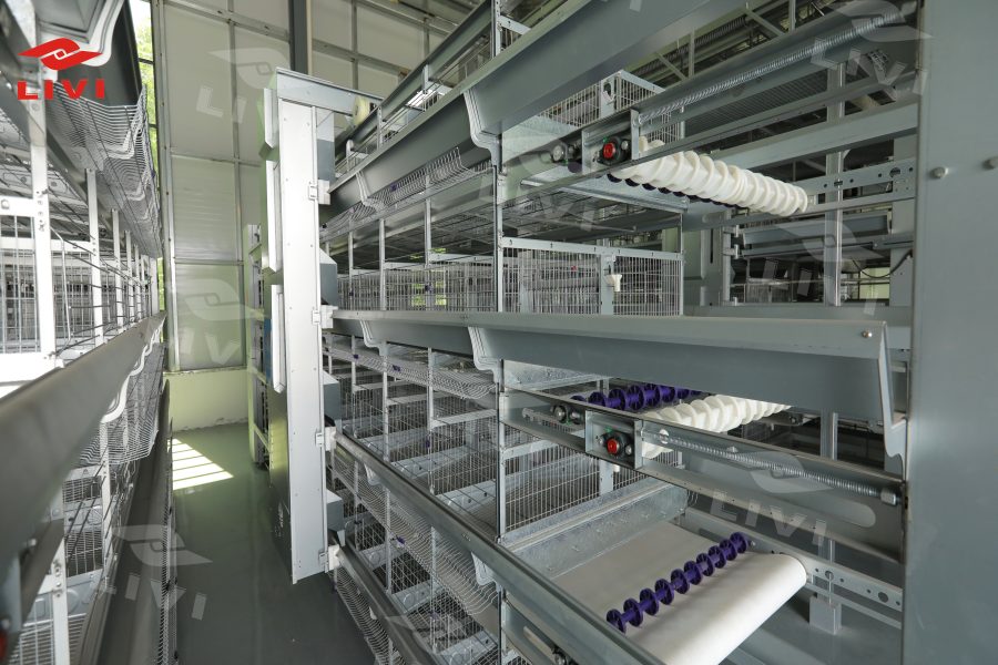 h type 120 cage system
