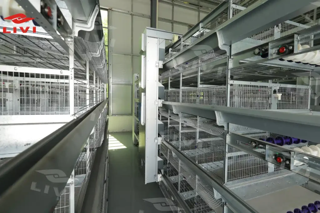 h type cage system