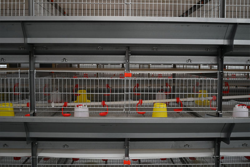 h-type-chick-brooding-cage-mesh-and-door-structure