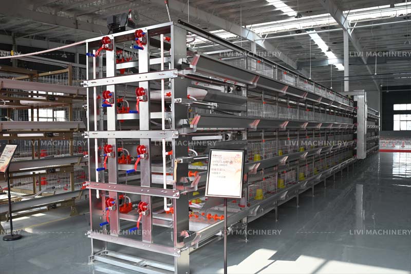 h-type-chick-brooding-cage-system-for-commercial-poultry-farms
