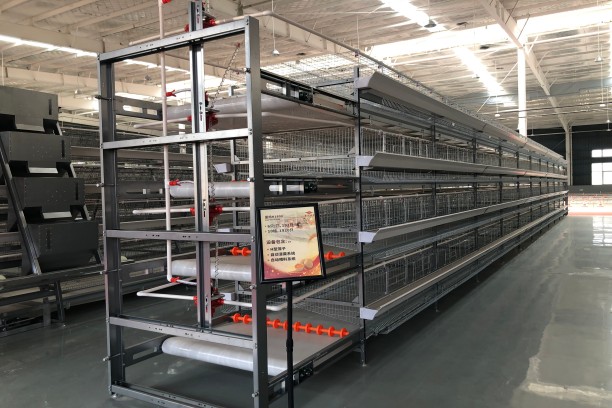 h type layer cage 1800×600×430