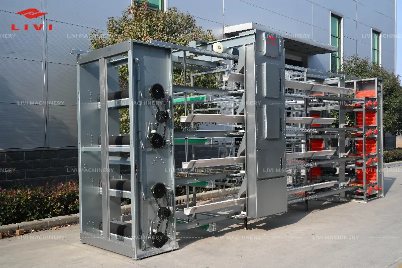 h type layer cage system