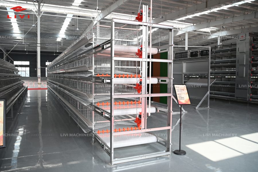 h type layer cage system