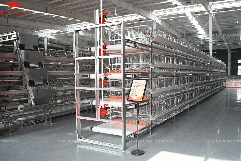 h type layer cage systems