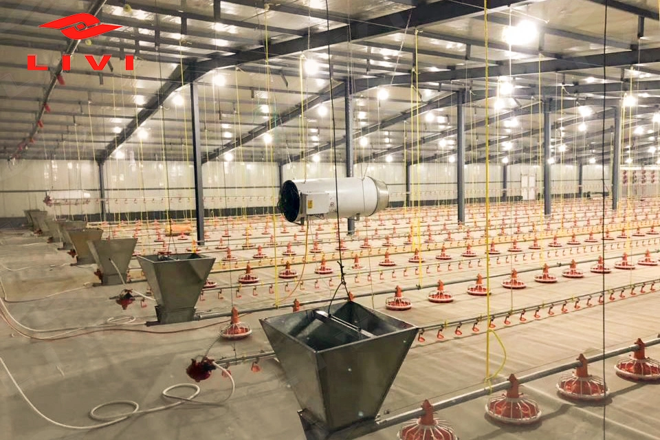livi broiler pan feeding system