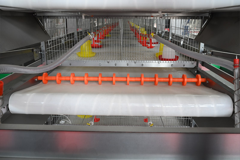 manure-removal-belt-for-H-Type-poultry-brooding-cage-system