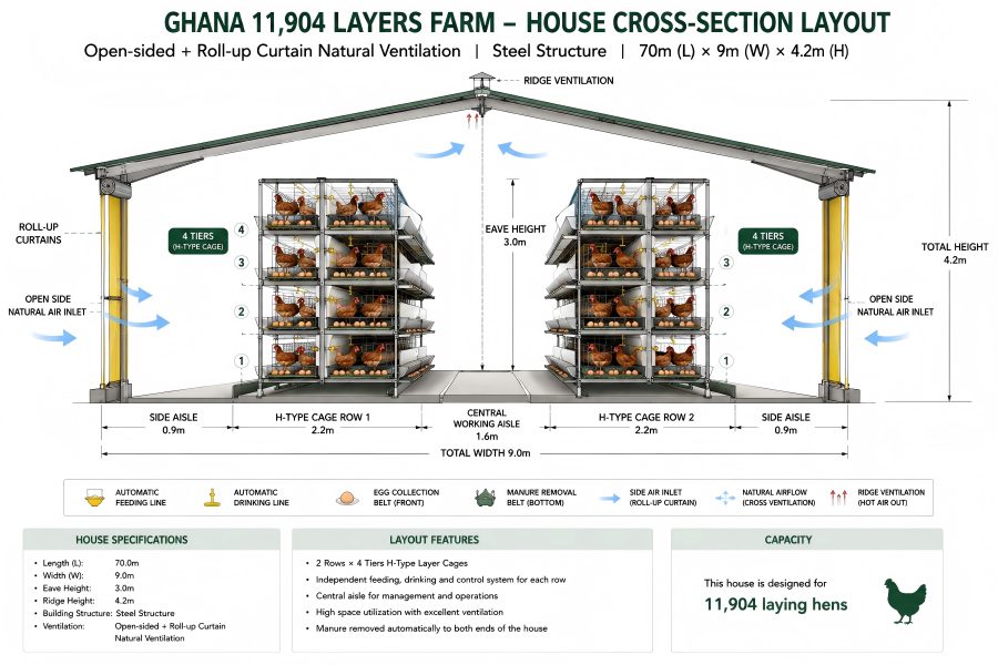 Ghana 12000 layer farm with two-row four-tier H-type layer cages