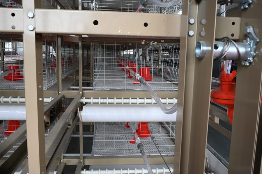 Automatic manure removal system for H-type broiler cages