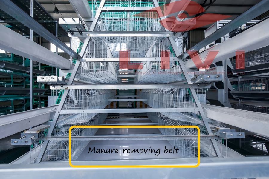 livi a type layer cage system with manure removing belt