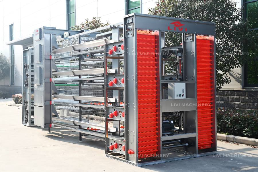 H-type layer cage project in Ghana