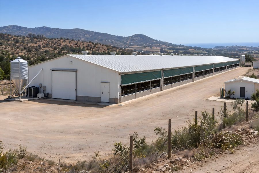 30,000-layer poultry farm in Catapilco Chile with semi-open poultry house