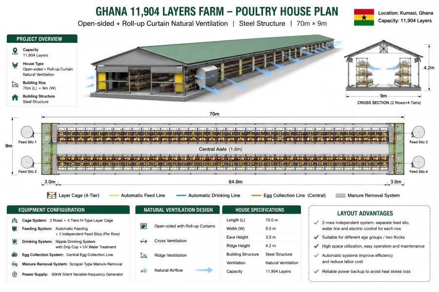 Ghana 12000 layer poultry farm with open-sided steel poultry house