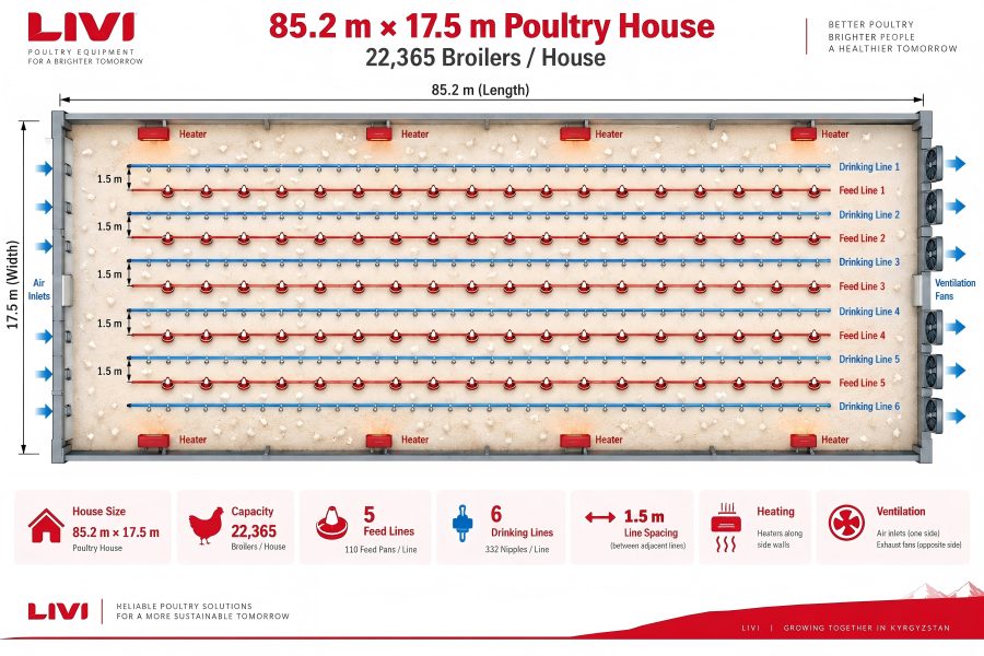 85.2 by 17.5 meter broiler house layout with five feeding lines and six drinking lines