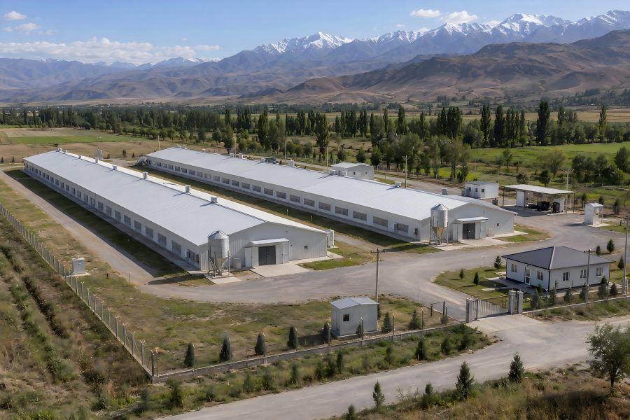 Kyrgyzstan 44,730 broiler floor-rearing farm with two poultry houses