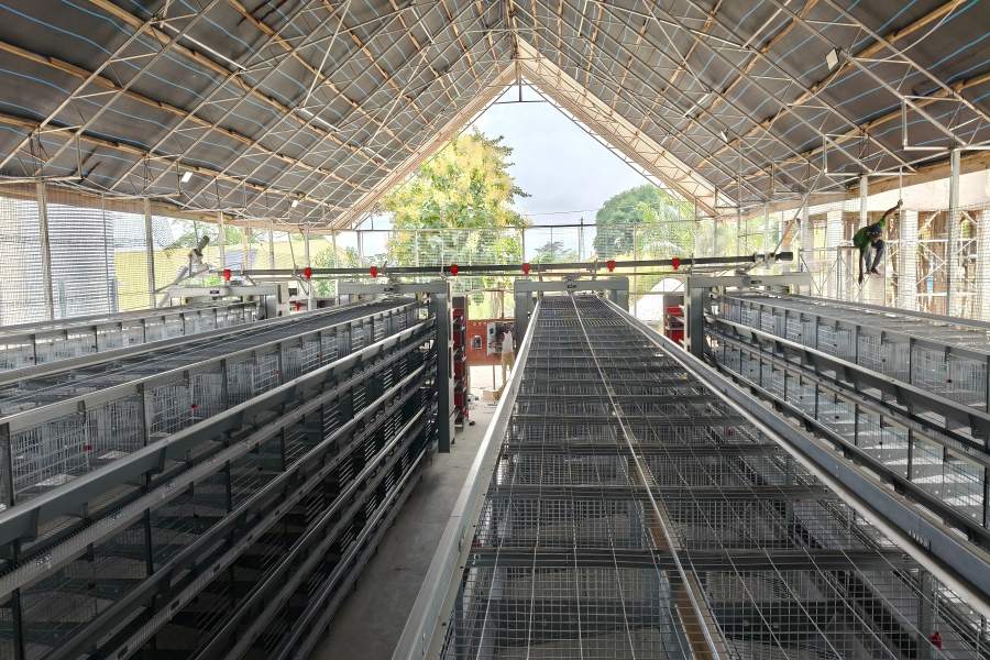H-type layer cage installation site for 11,904 laying hens in Kumasi Ghana