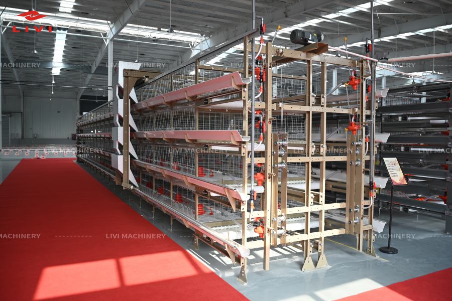 LIVI H-type broiler cage system