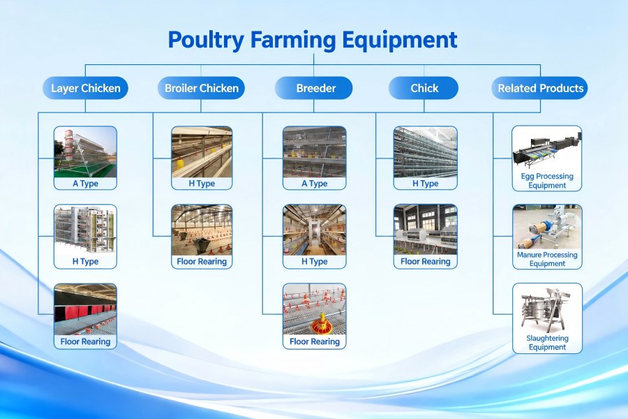 livi poultry farming equipment