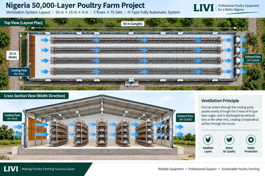 pad and fan cooling airflow plan for a 50,000-layer poultry house in Nigeria